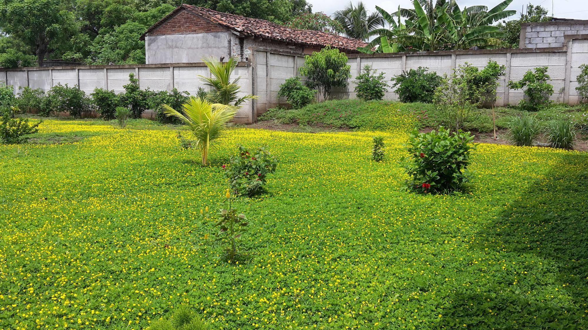 Hotel Jardin Garden De Granada Nicaragua Exterior foto